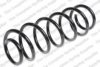 LESJ?FORS 4066806 Coil Spring